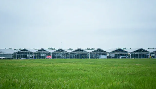软件测试中的使用场景分析与技术优化策略